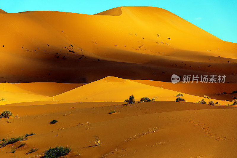 在Erg Chebbi沙漠的沙子，Merzouga，摩洛哥，北非